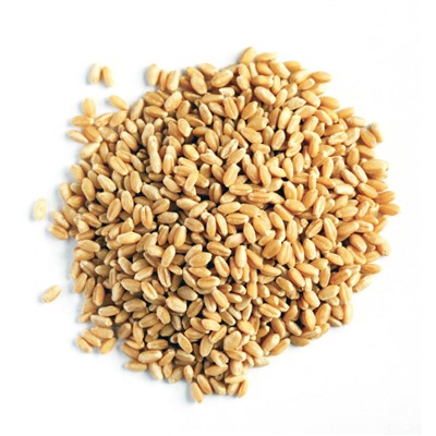 Пшеница, зерно (БИО)